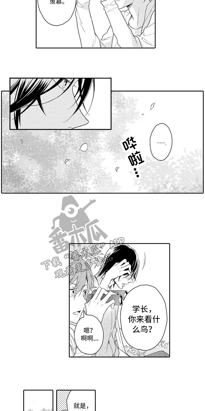 复仇与爱情 - 第7章暗恋 - 第10张图