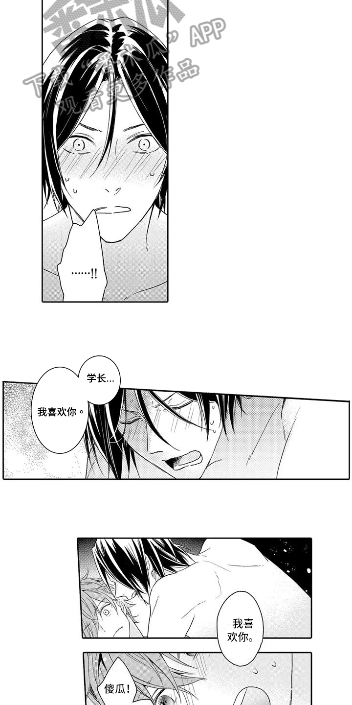 复仇与爱情 - 第19章没有赢家的游戏【完结】 - 第4张图