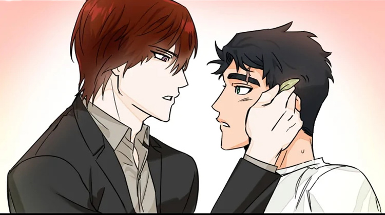 ������ѡ��