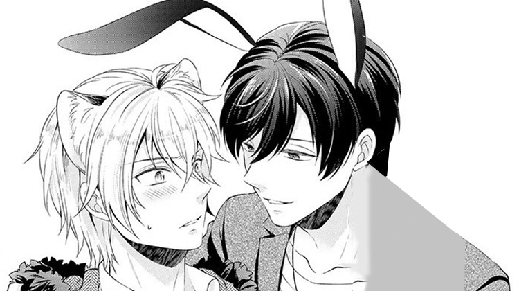 ��ʳϵ����