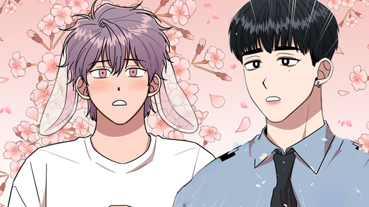 �����ҽ���