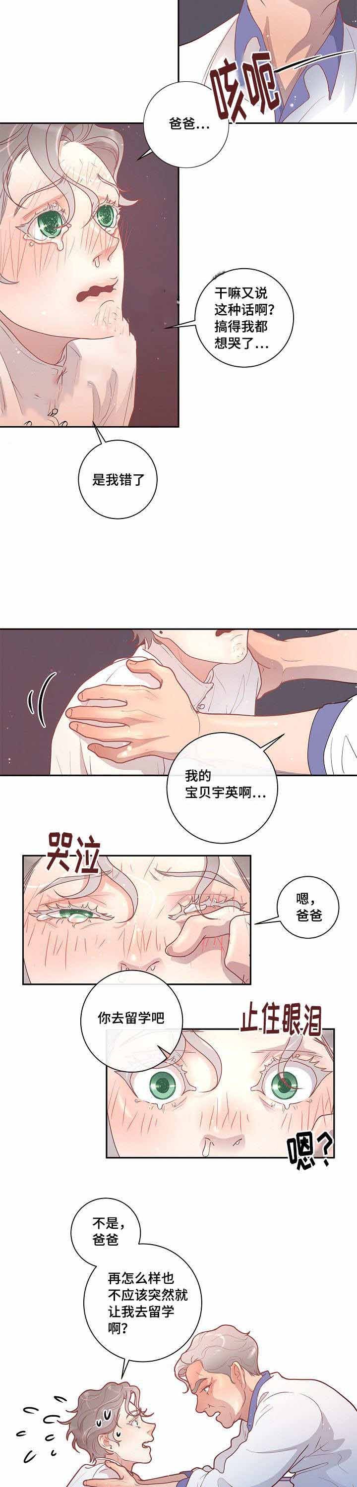 勾引alpha的方法（全集） - 第33话 只是喜欢你 - 第11张图