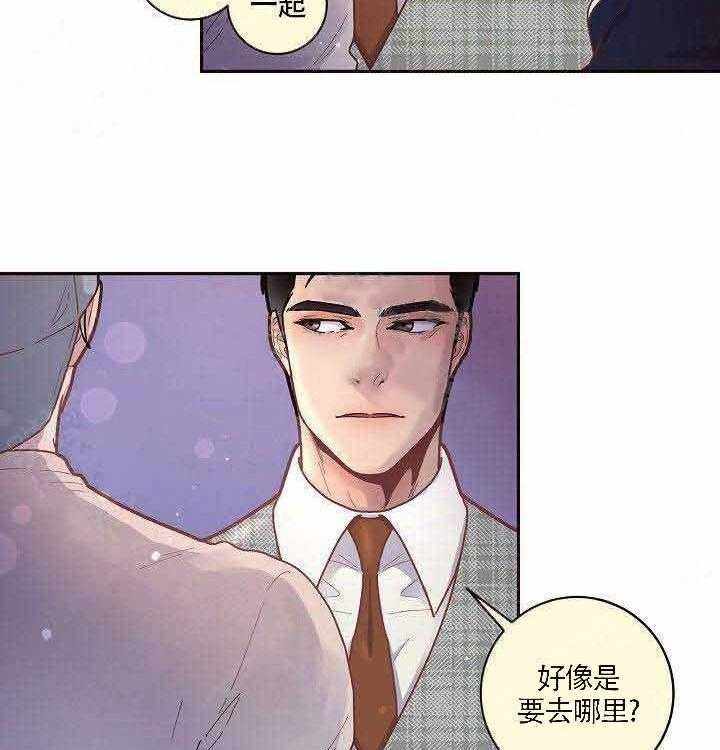 勾引alpha的方法（全集） - 第53话 再次相见 - 第19张图