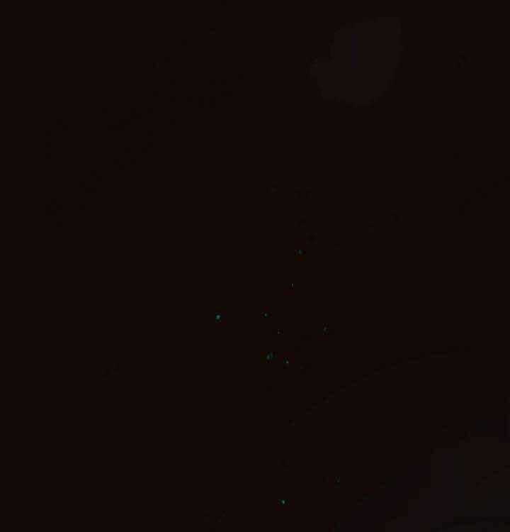 勾引alpha的方法（全集） - 第55话 不想你太辛苦 - 第1张图