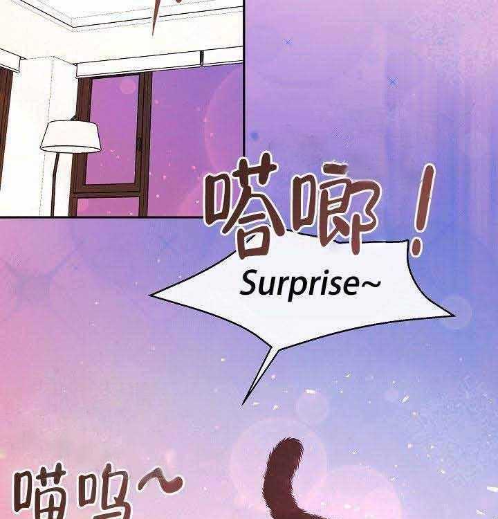 勾引alpha的方法（全集） - 第62话 猫女 - 第11张图