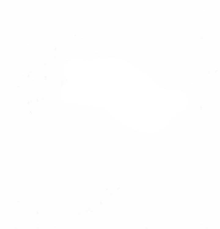 勾引alpha的方法（全集） - 第62话 猫女 - 第30张图