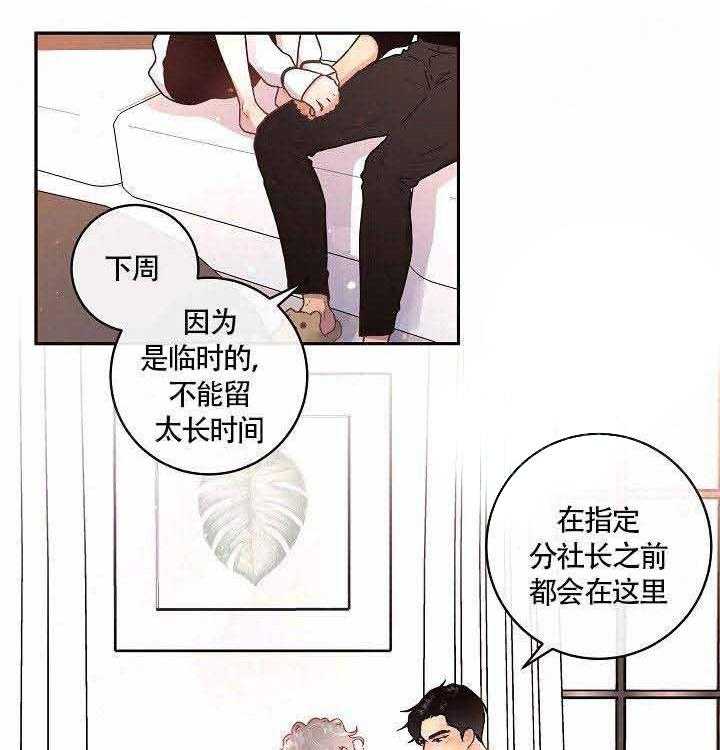 勾引alpha的方法（全集） - 第74话 带来了 - 第4张图