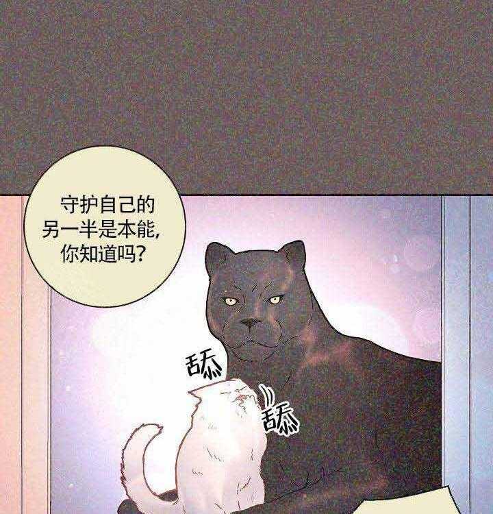 勾引alpha的方法（全集） - 第82话 标记 - 第15张图