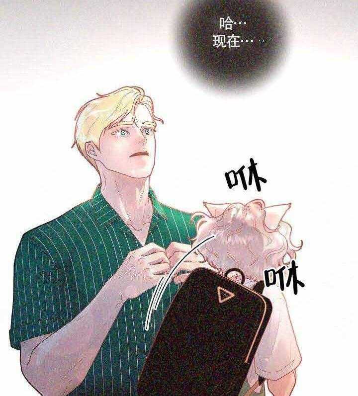 勾引alpha的方法（全集） - 第82话 标记 - 第27张图