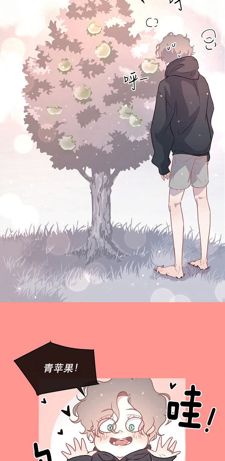 勾引alpha的方法（全集） - 第99话 我的金苹果 - 第4张图