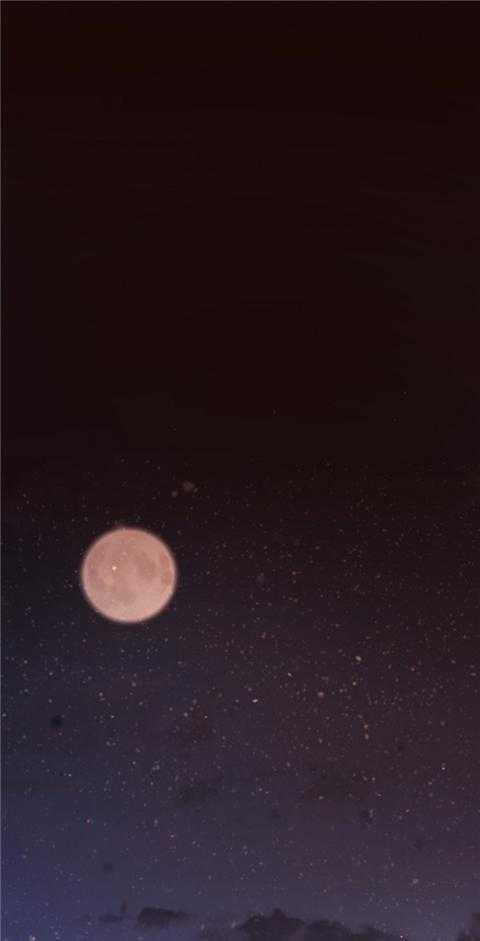 勾引alpha的方法（全集） - 第189话 番外_属于我 - 第1张图