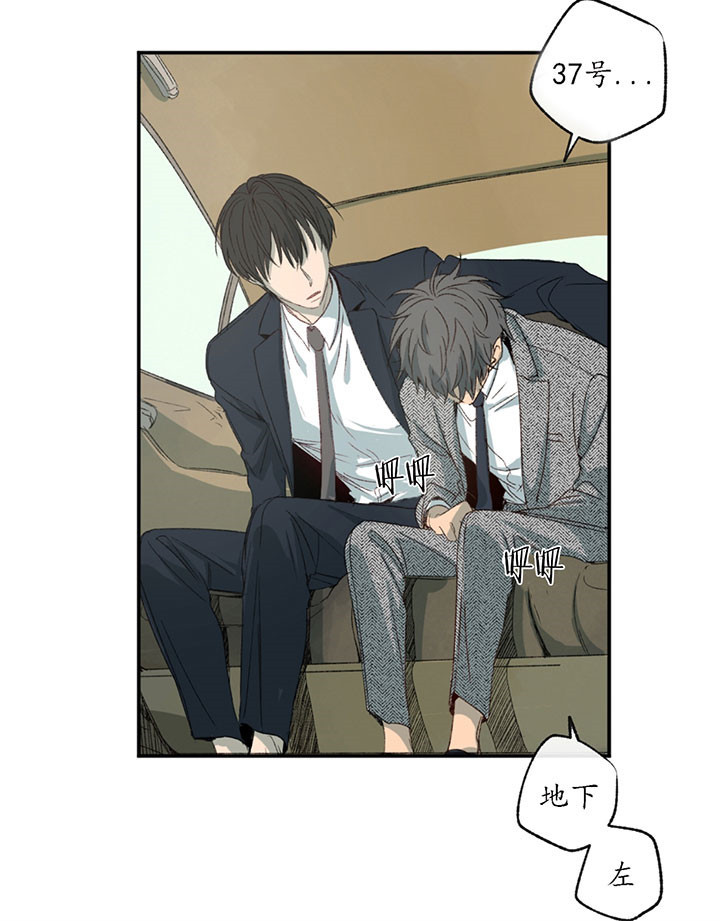 同情的形式（共2季） - 第3话 疯了 - 第11张图