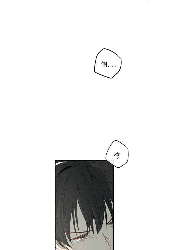 同情的形式（共2季） - 第3话 疯了 - 第12张图