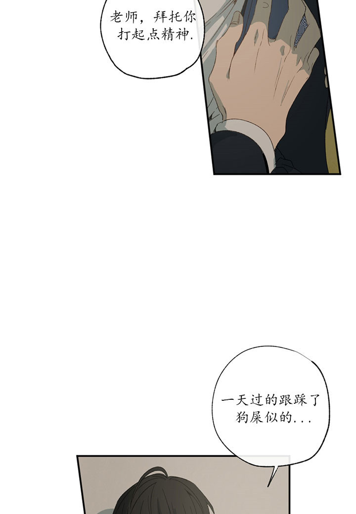 同情的形式（共2季） - 第3话 疯了 - 第28张图