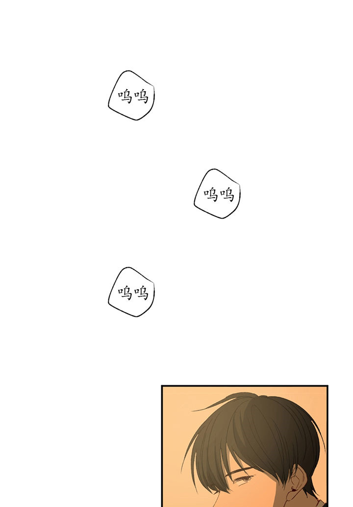 同情的形式（共2季） - 第2话 世界真小 - 第1张图