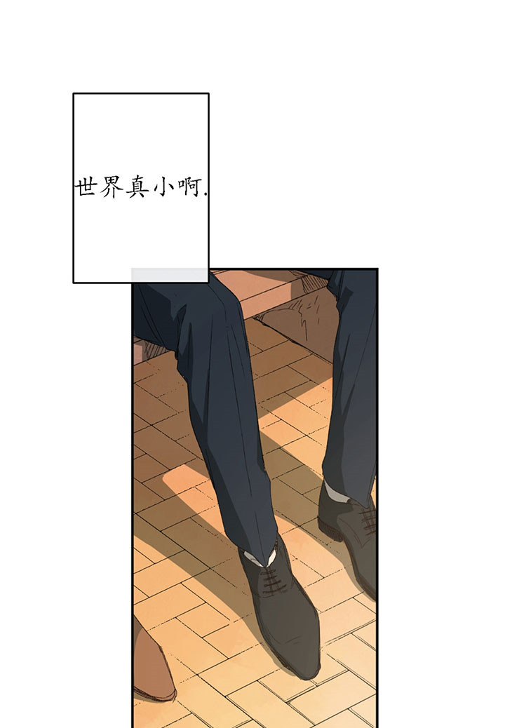 同情的形式（共2季） - 第2话 世界真小 - 第27张图