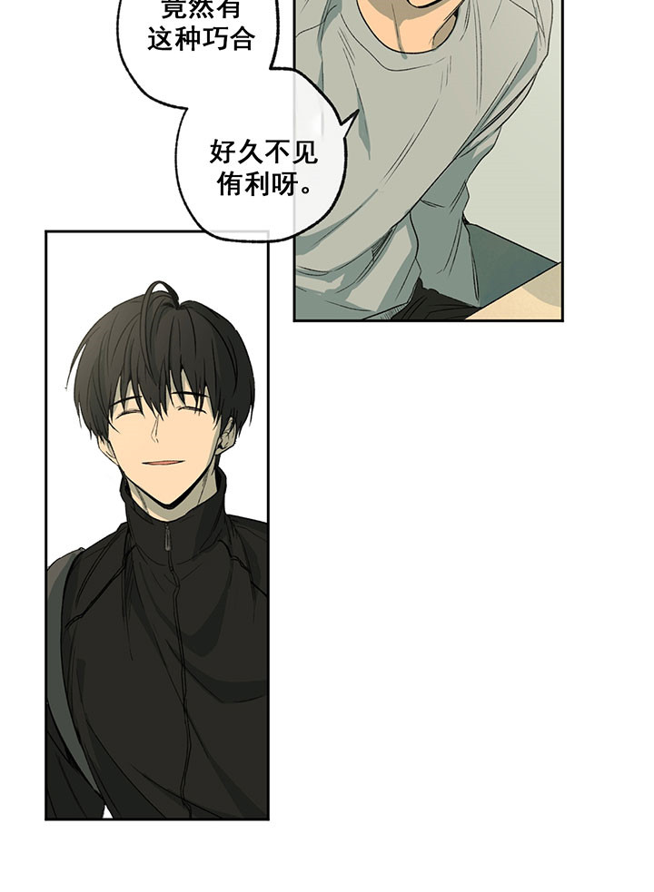 同情的形式（共2季） - 第7话 巧合 - 第5张图