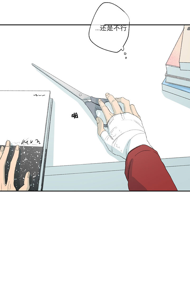 同情的形式（共2季） - 第26话 藏身之处 - 第26张图