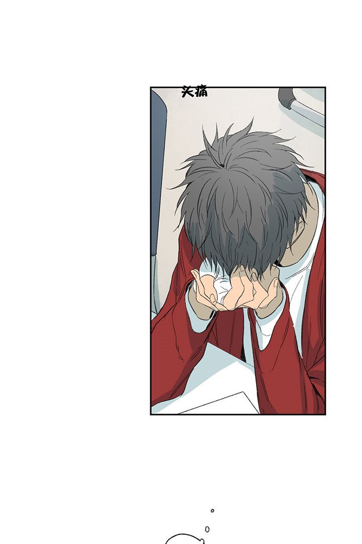 同情的形式（共2季） - 第26话 藏身之处 - 第31张图