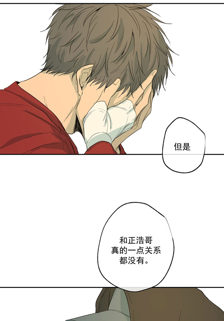 同情的形式（共2季） - 第28话 暗恋 - 第21张图