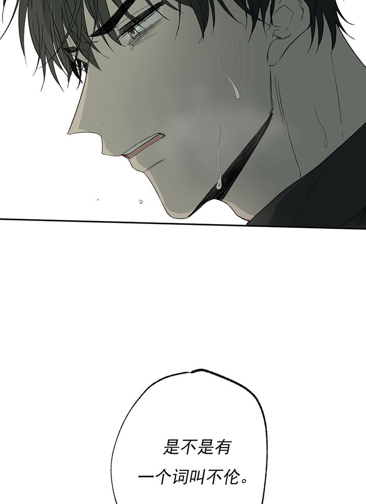 同情的形式（共2季） - 第41话 不伦 - 第15张图