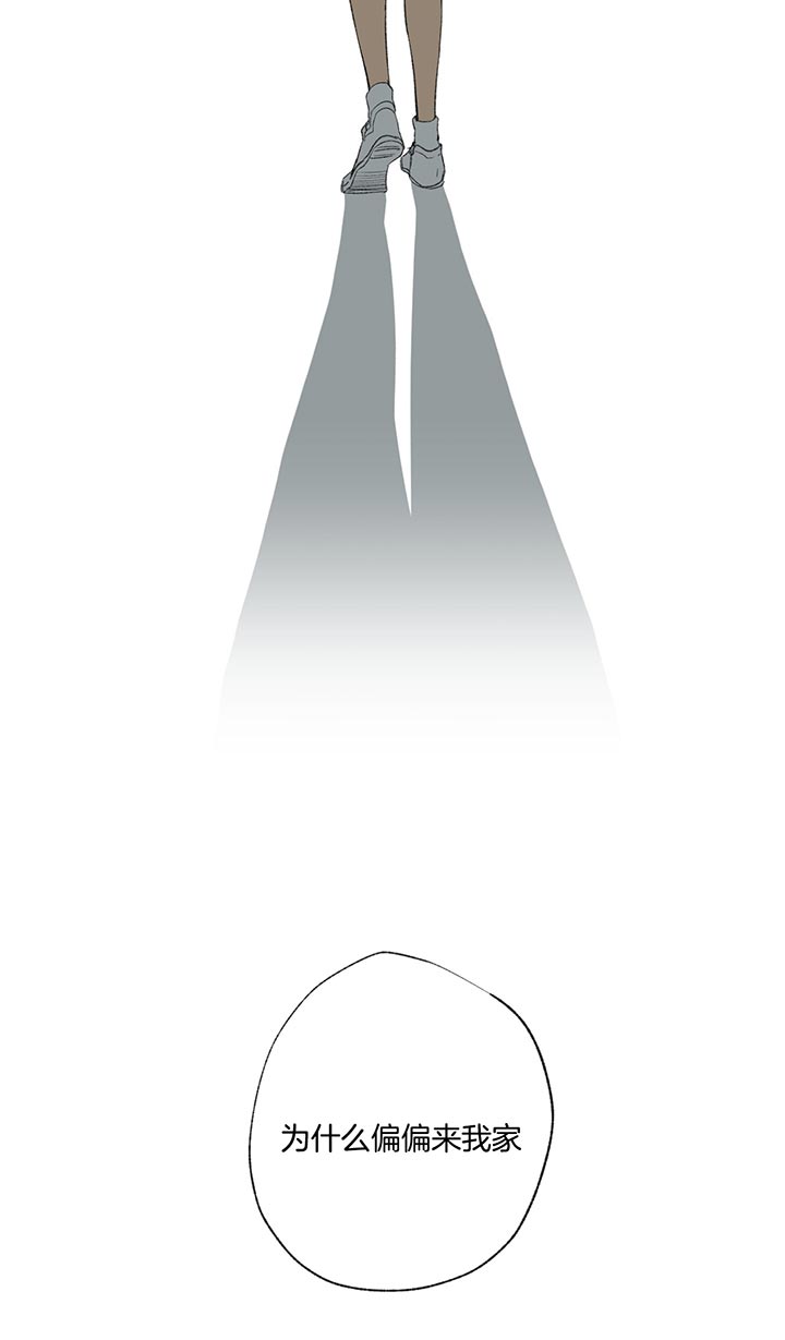 同情的形式（共2季） - 第80话 偏偏 - 第13张图