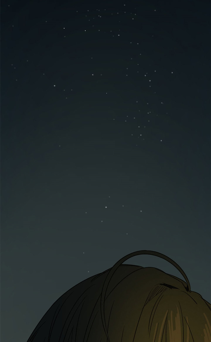 同情的形式（共2季） - 第89话 夜空 - 第25张图