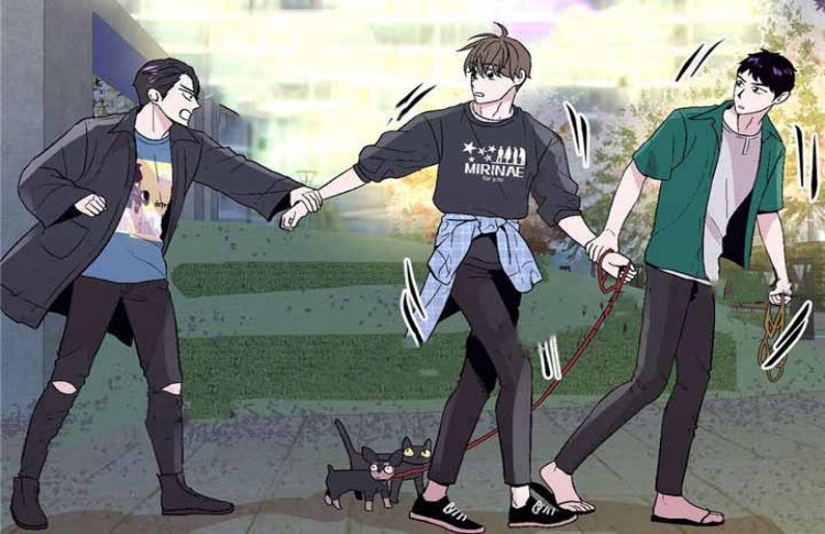 ������ѡ