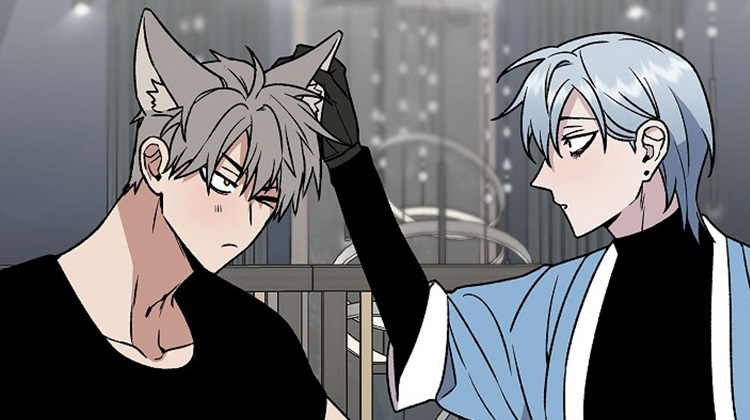 �޳�����