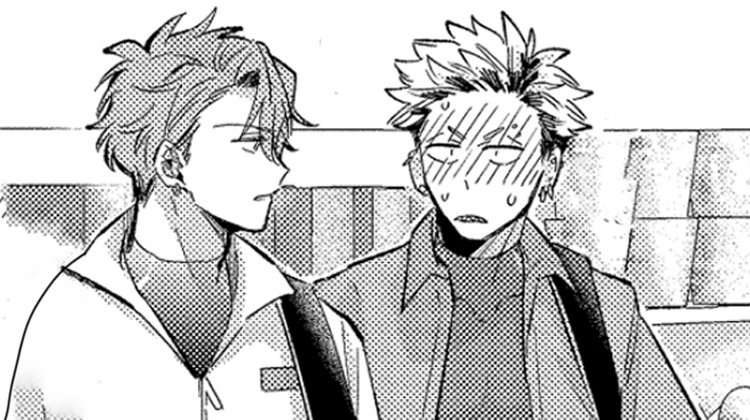 ������ɰ���