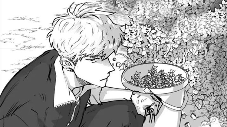 �����ƿ�