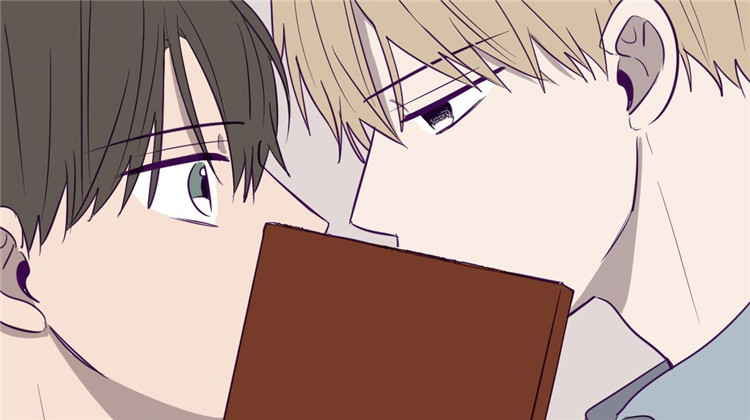 ������Ƭ