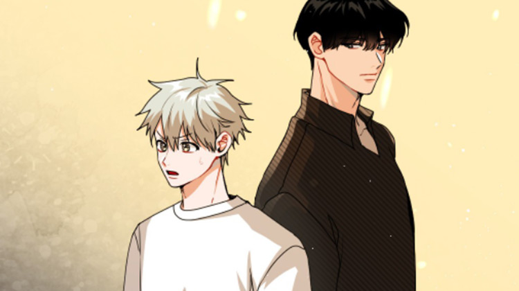 ֻ�����������