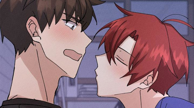 �����İ�ο