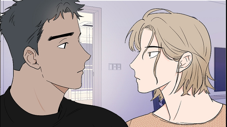 ��Ҫ����