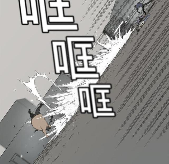 138.jpg