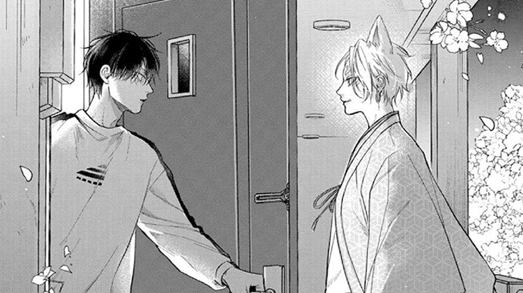 ��ò�ĺ������