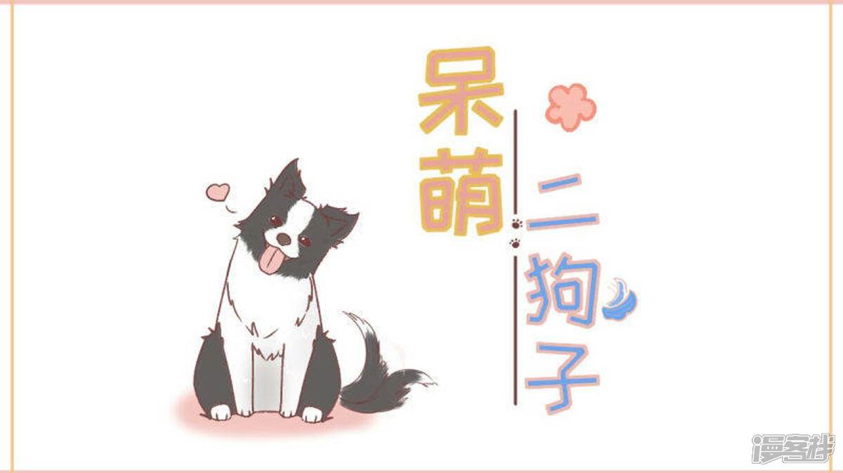 ���ȶ�����