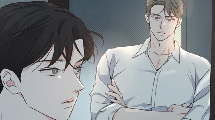 �ʺ�����Ȧ