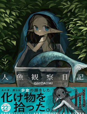 人鱼观察日志