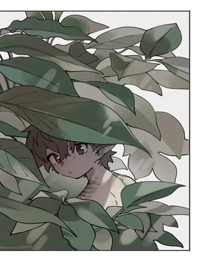 ڵͥԺ