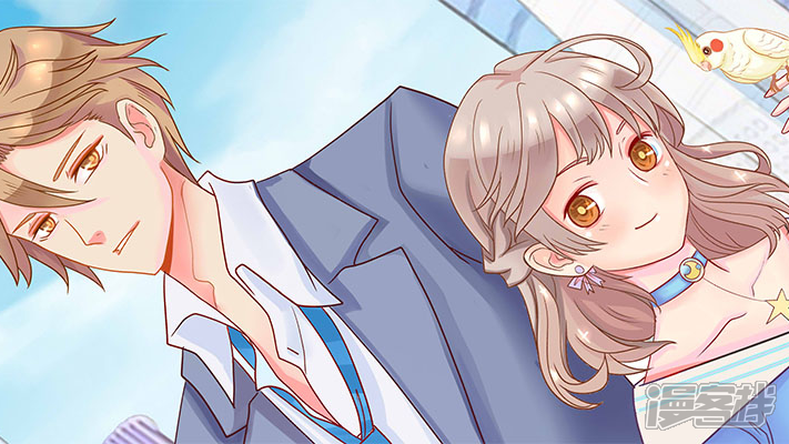 �����ܲ�СС��