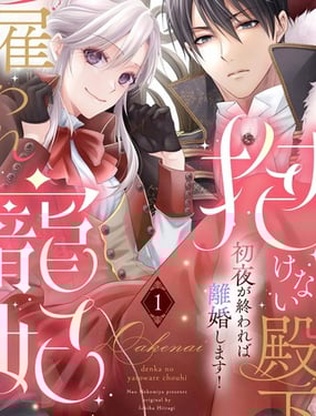 无法拥抱的殿下的雇佣宠妃 初夜结束就离婚！