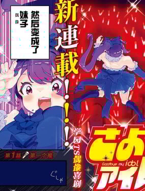 再见了我的偶像