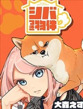 家里毛茸茸的柴犭灵