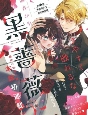 不可轻易触碰那黑蔷薇