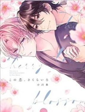 这份恋情、樱花色