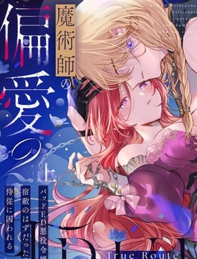 ħ��ʦ��ƫ��-True Route