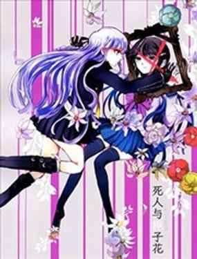 ���������ӻ�