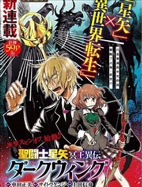 圣斗士星矢 冥王异传 漆黑之翼